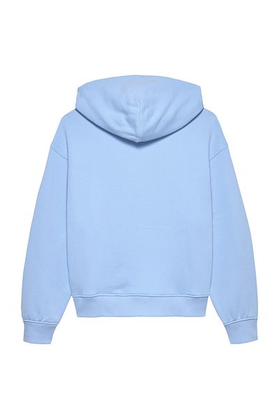 Tommy Hilfiger TJW BXY BADGE HOODIE EXT