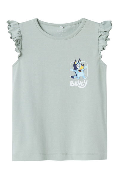 name ıt Nmfmuru Bluey Ss Top Box Sky