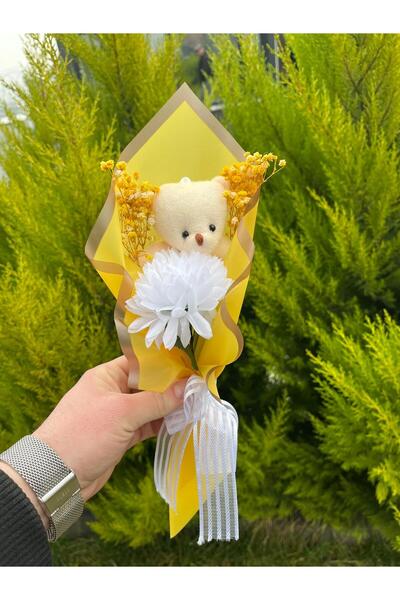 DAFNE Seni seviyorum demenin en tatlı yolu peluş ayıcık buketi