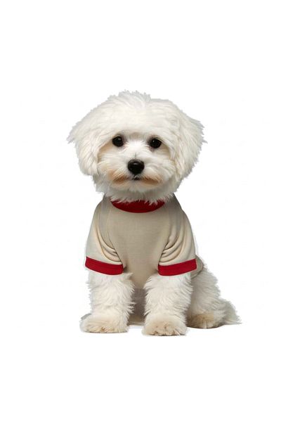 NEVERMIND Palm Sunset Print Dog T-Shirt - Summer Cat & Dog Apparel