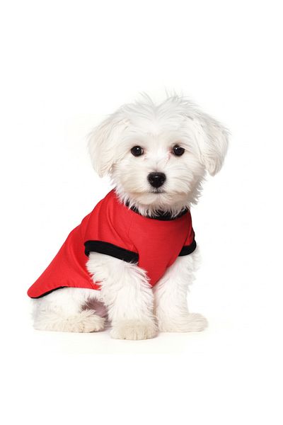 NEVERMIND Palm Sunset Print Dog T-Shirt - Summer Cat & Dog Apparel