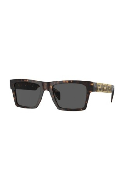 Versace 0Ve4445 Sunglasses