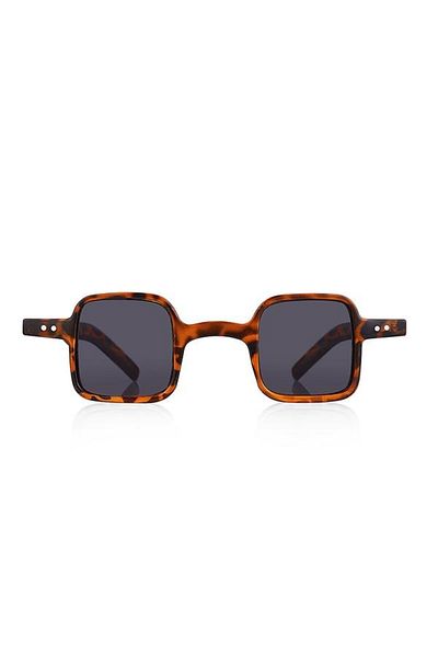 Aqua Di Polo 1987 Brown Women's Sunglasses APSU033504