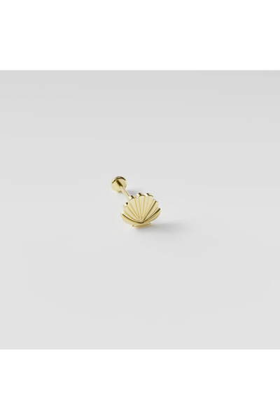 DesignbyKairos 14 Ayar Altın Deniz Kabuğu Piercing/ Tragus, Helix