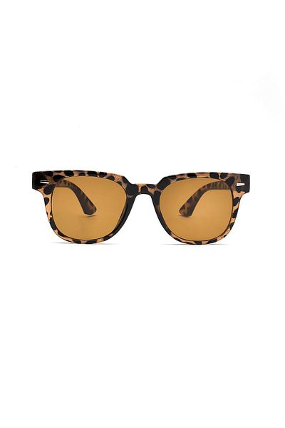Aqua Di Polo 1987 Women's Leopard Sunglasses Apso 001503