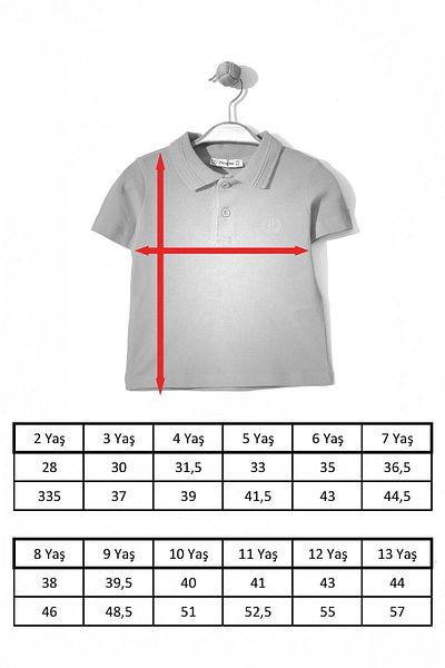 Trend Baby Kids Boy's Basic Red Polo Neck Tshirt 6-9 Years