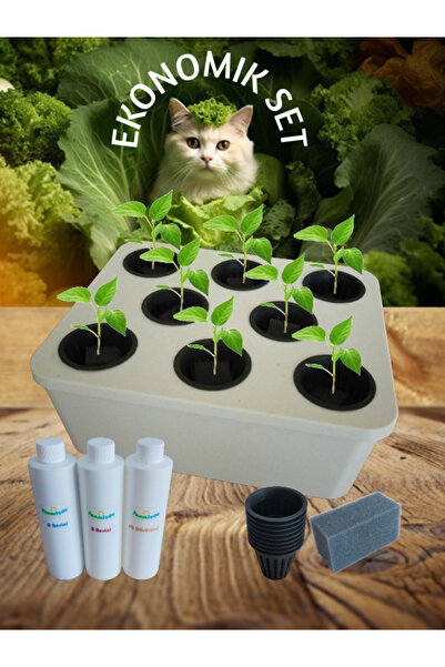 TarımSuda Topraksız Tarım Ekonomik Set Beyaz Hidroponik Set Suda Tarım Hobi Seti
