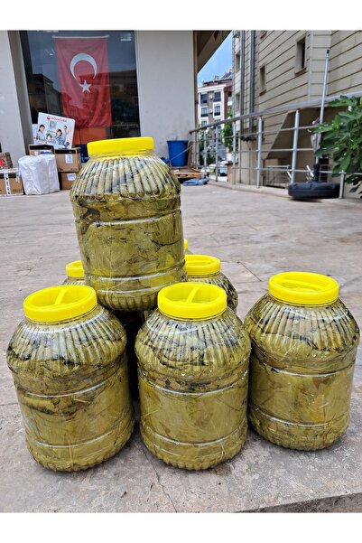 Organik Gıdam Salamura Yaprak