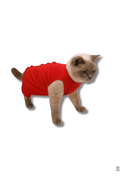 Patili Avm Cat Dog Postoperative Protection Coverall – Comfortable and Durable with Velcro