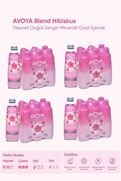 AVOYA Blend Hibiskus Maden Suyu 250 ml x 24 Adet