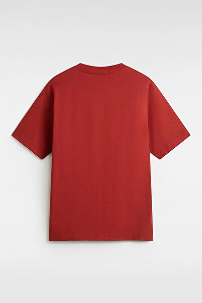 Vans Salton Loose Ss Men's T-Shirt Vn000P56E2Z1