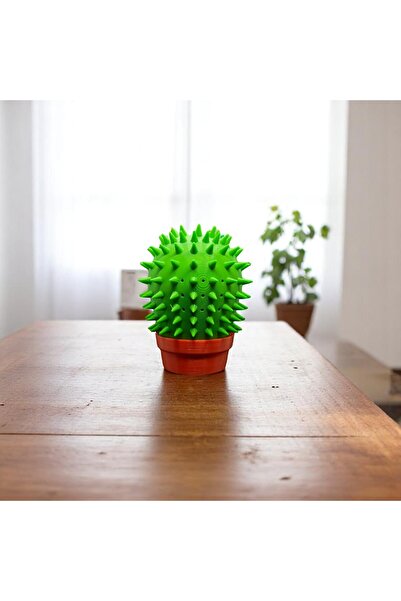 krh 3d print جهاز الحكة للقطط الصبار