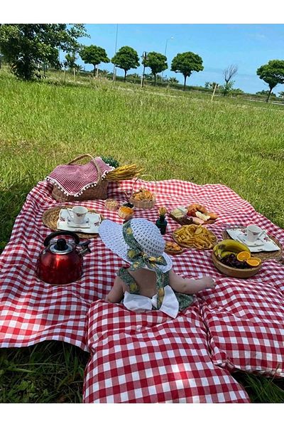 CARTOON Picnic Set Red Picnic Cloth Large Size Cloth Tablecloth 170x170 Cm with 2 Cushions Gift (40x40cm)