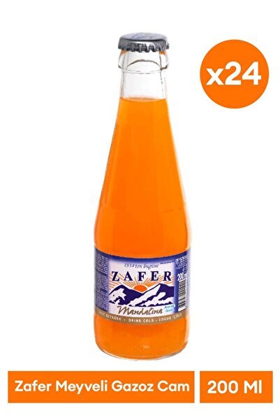 Zafer Gazoz 24 x 200ML Meyveli