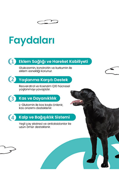 Genel Markalar Livepet Köpekler Için Eklem Sağlığı Ve Longevity Tableti – 60 Tablet