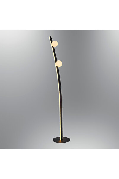 Özcan Aydınlatma 1423-L2 Lambader Siyah