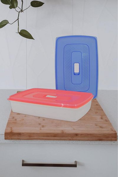 Saban 2-Piece Storage Container Pink, Blue with Lid