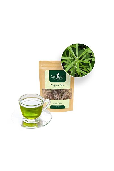 köydekiadam Yoğurt otu(Galium verum)