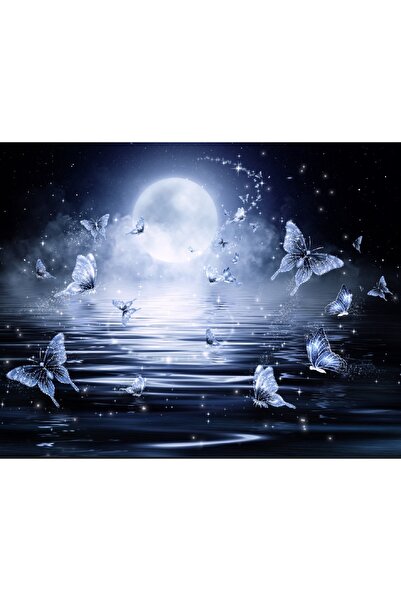 media Fototapet de perete autoadeziv si lavabil Fluturi in lumina noptii, 270...