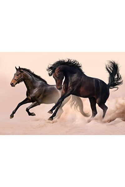 media Fototapet Doi cai negri, galop, 350 x 250 cm