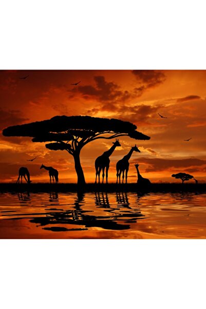 media Fototapet Girafe, apus de soare2, 300 x 200 cm