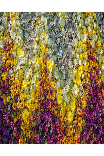 media Sticker Flowers65, 135 x 225 cm