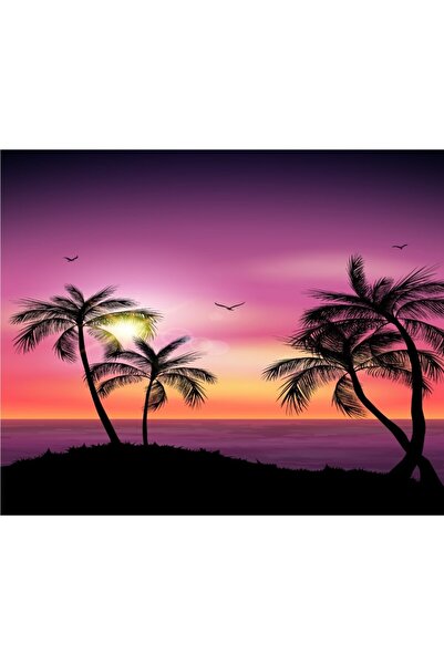 media Fototapet Palmieri4, 300 x 250 cm