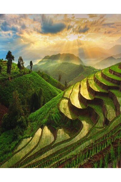 media Fototapet de perete autoadeziv si lavabil Natura87, 135 x 225 cm