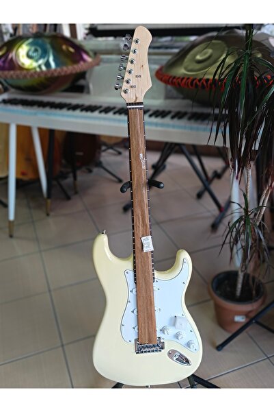 Bircanmüzik Elektro Gitar (kılıf ve pena hediye)