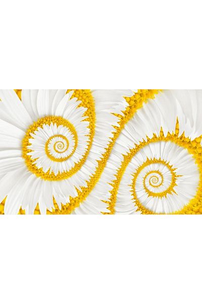 media Fototapet de perete autoadeziv si lavabil Spirale albe, 400 x 250 cm