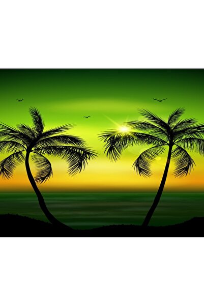 media Fototapet Palmieri7, 300 x 250 cm