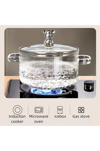 ABYZ Heat-resistant glass pot, for gas and electric stove, capacity 1.6L, handle color Transparent
