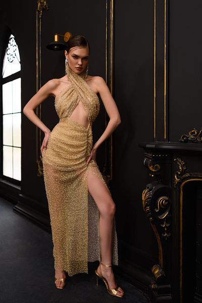 Gira official Gold Glitter Bead Detailed Mesh Dress
