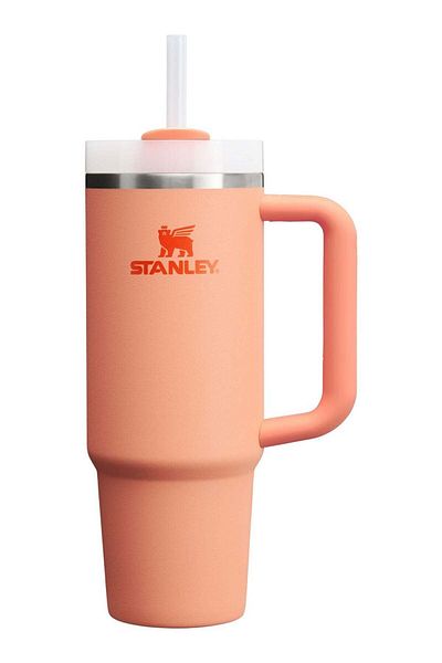 Stanley 40oz Quencher H2.0 Tumbler with Straw and Handle – Nectarine Color