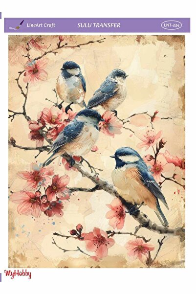 LİNEART Lineart Sulu Transfer No:lnt334 25x35cm
