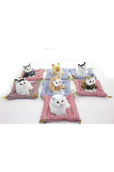 Giove Store Padded Sounding Cat