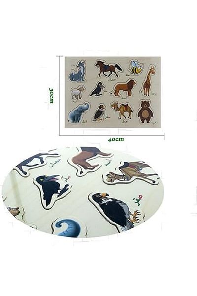 rexa Educational Animal Puzzle for Children
