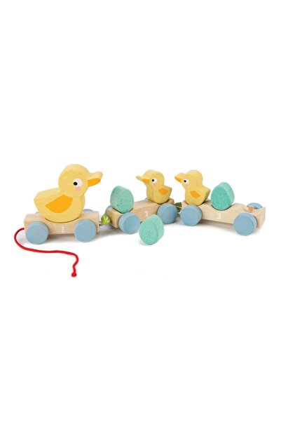 Tender Leaf Toys - Ξύλινο τρενάκι με πάπιες - Tl8350