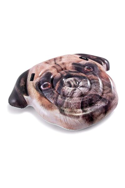 Intex Realistic Pug Dog Face Inflatable Pool Float with Handles 173 x 130 cm