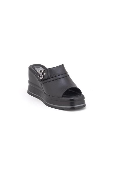Venüs 2510904 شباشب واي فينوس