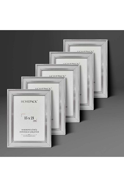 HOMEPACK Harmony Silver Plastic Photo Frame, Desktop Frame, Mdf Standing Frame