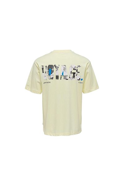 ONLY Men's T-Shirt 22025301