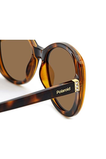 Polaroid Polaroid PLD 4154 S/X 086/SP Women's Sunglasses, Havana, Butterfly, 55 mm