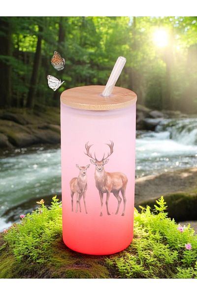 lili hediyelik Deer Printed Glass Water Bottle with Straw 600 ml