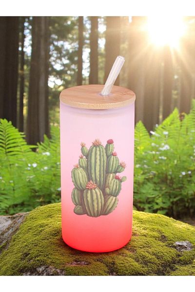 lili hediyelik Cactus Printed Glass Water Bottle with Straw 600 ml