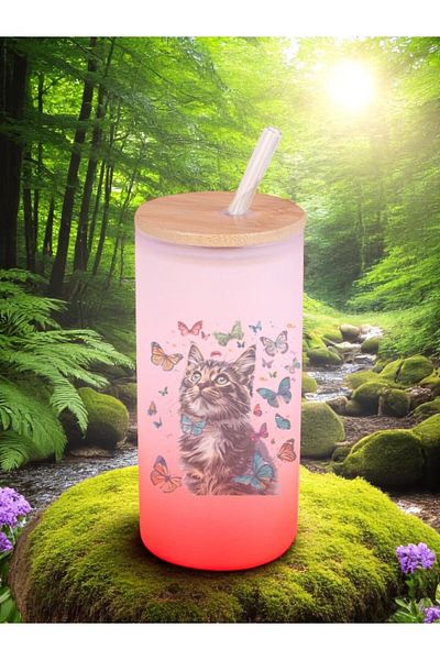 lili hediyelik Butterfly Cat Printed Glass Water Bottle with Straw 600 ml