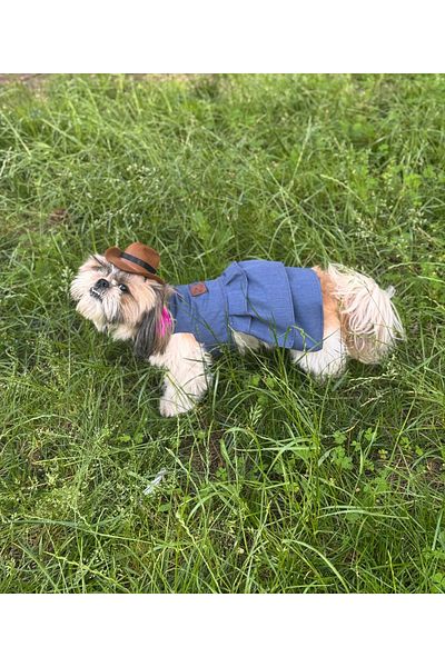For a Fur Dog Cat Dress Outfit Slim Jeans Dress Pleated