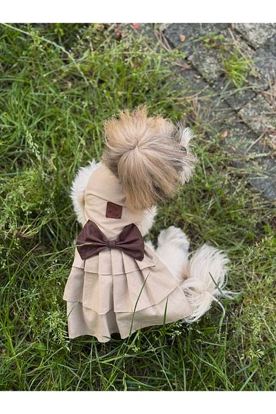 For a Fur Dog Dress Outfit Beige Coffee Color Poplin Fabric Pleated