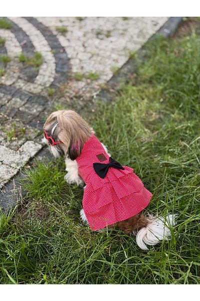 For a Fur Minnie Dog Dress Outfit Red Polka Dot Black Poplin Fabric Pleated Cat Dress