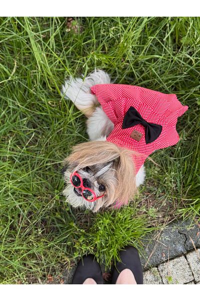 For a Fur Minnie Dog Dress Outfit Red Polka Dot Black Poplin Fabric Pleated Cat Dress
